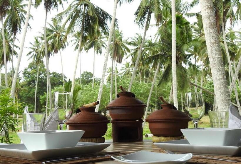 فندق Ambarella Lodge   Katunayake