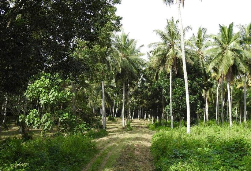 فندق Ambarella Lodge   Katunayake