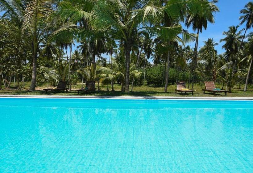 فندق Ambarella Lodge   Katunayake