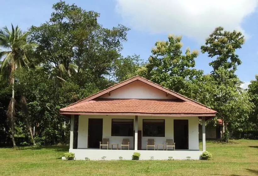 ホテル Ambarella Lodge   Katunayake