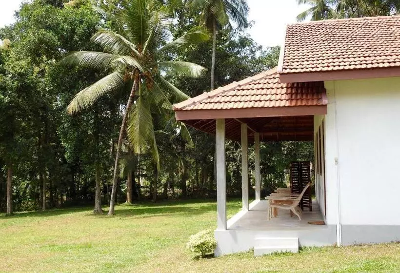 ホテル Ambarella Lodge   Katunayake