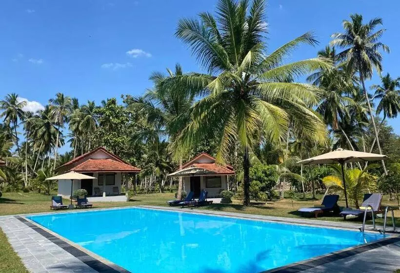 ホテル Ambarella Lodge   Katunayake