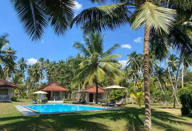 ホテル Ambarella Lodge   Katunayake