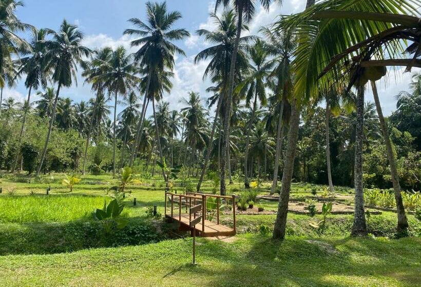 فندق Ambarella Lodge   Katunayake