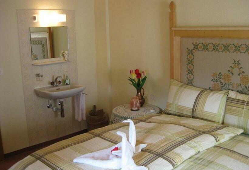 호텔 Garni Fluela Susch