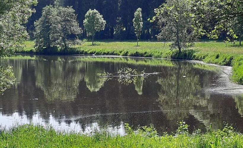 Отель Gasthof Zum Alten Schulmeister