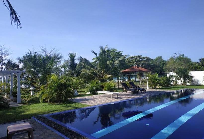 ペンション Ammazing Talalla Villa