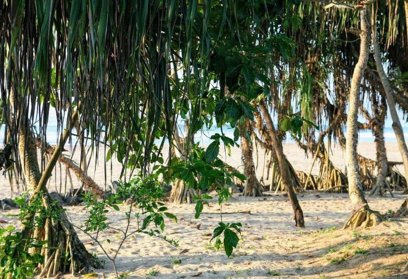 ペンション Ammazing Talalla Villa