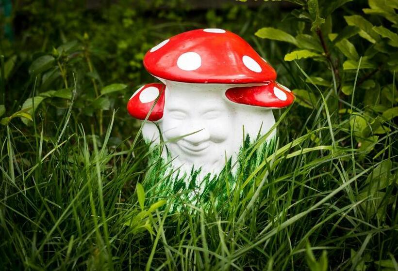 Пансион Casa De Vacanta Marya