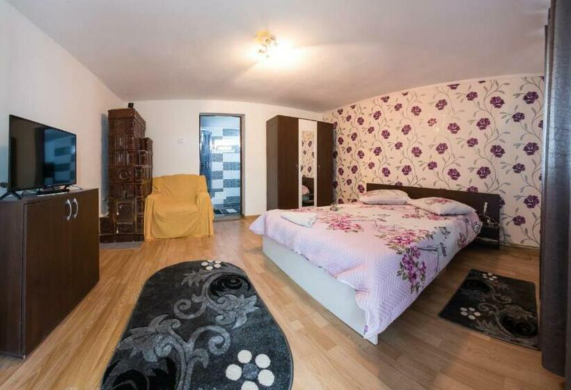 Пансион Casa De Vacanta Marya