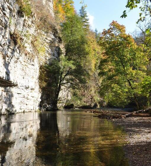 펜션 Gasthof Zur Burg