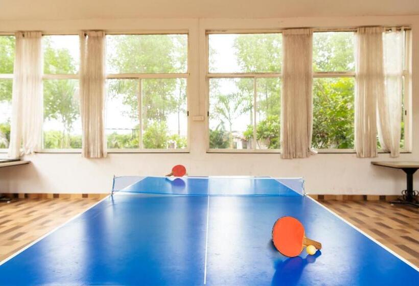 Tadoba Wildlife Resort   Best Resort In Tadoba