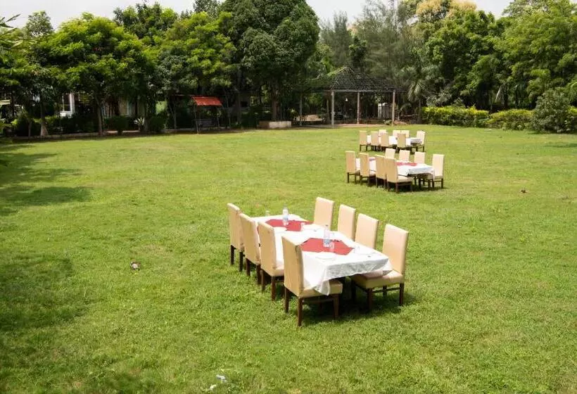 Tadoba Wildlife Resort   Best Resort In Tadoba