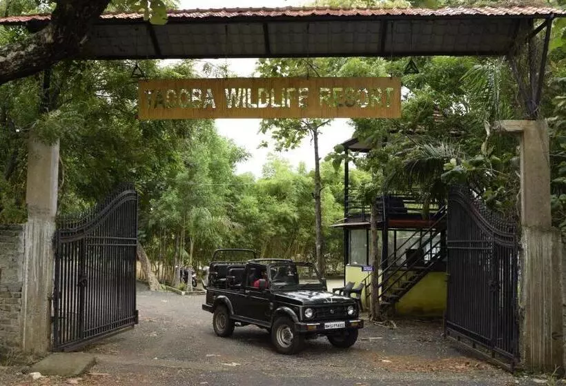 Tadoba Wildlife Resort   Best Resort In Tadoba