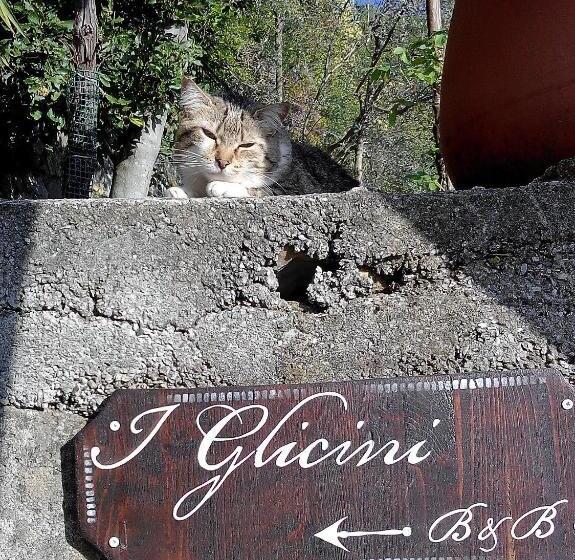 B&b I Glicini