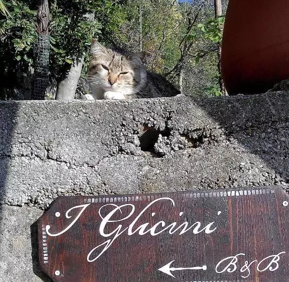 B&b I Glicini
