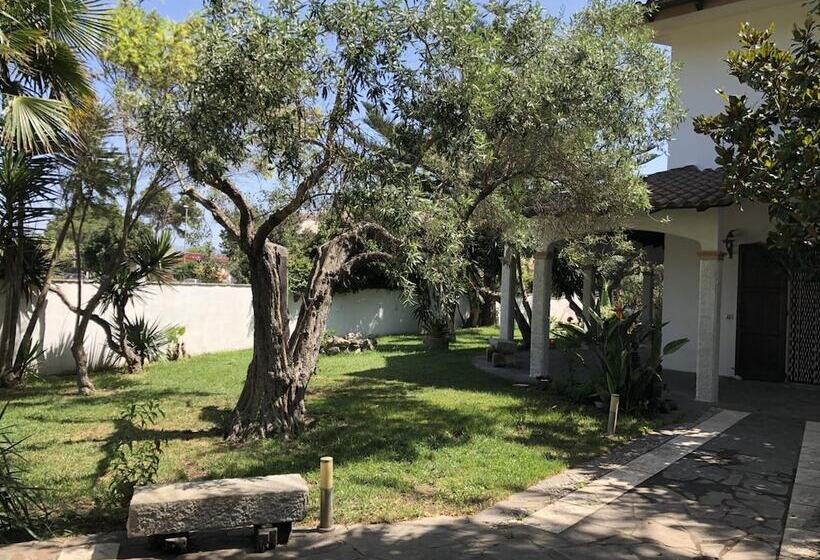 ベッドアンドブレックファースト Sa Crannaccia