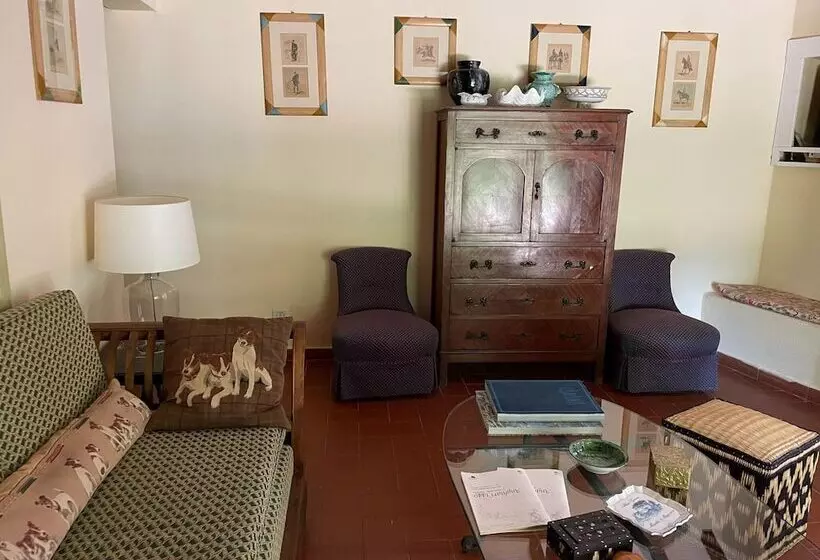 Detached Cottage With Swimming Pool