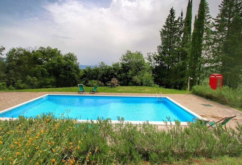Detached Cottage With Swimming Pool