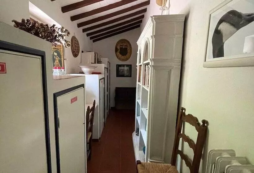 Detached Cottage With Swimming Pool