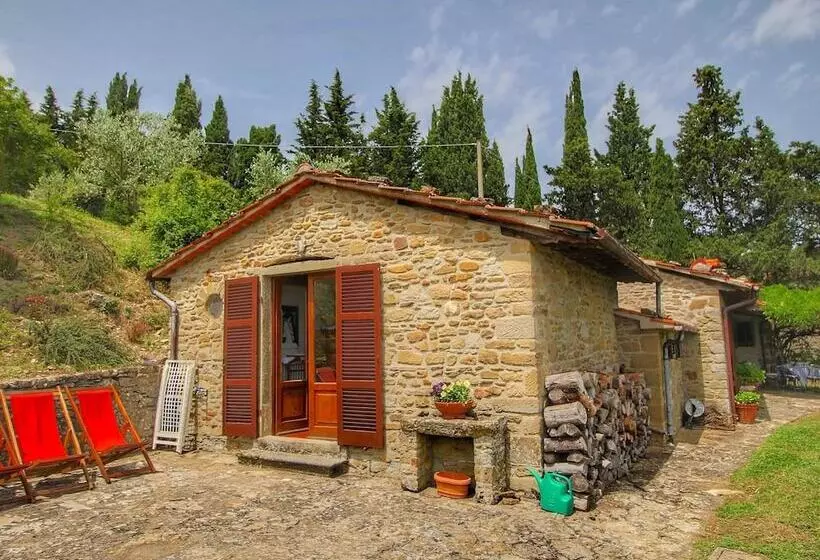 Detached Cottage With Swimming Pool