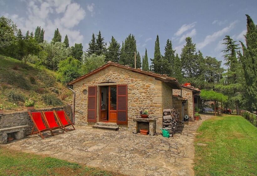 Detached Cottage With Swimming Pool