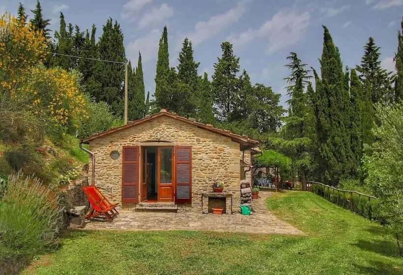 Detached Cottage With Swimming Pool