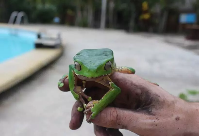 Hotelli Amazon Garden Ecolodge