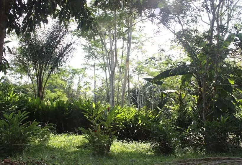 Hotelli Amazon Garden Ecolodge