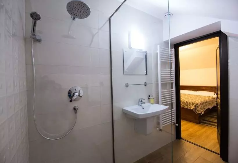 田舎風ホテル Pensiunea Tara Fagilor