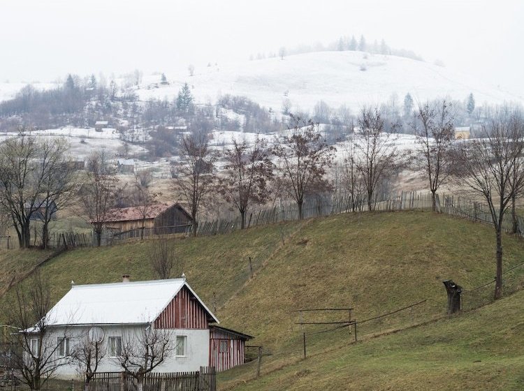 乡村酒店  Pensiunea Tara Fagilor