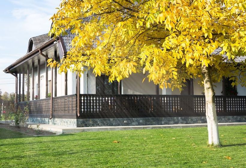 乡村酒店  Pensiunea Tara Fagilor