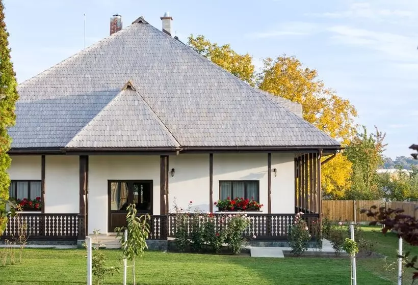 田舎風ホテル Pensiunea Tara Fagilor