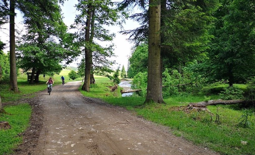 乡村酒店  Pensiunea Tara Fagilor