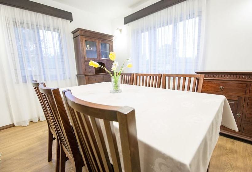 乡村酒店  Pensiunea Tara Fagilor