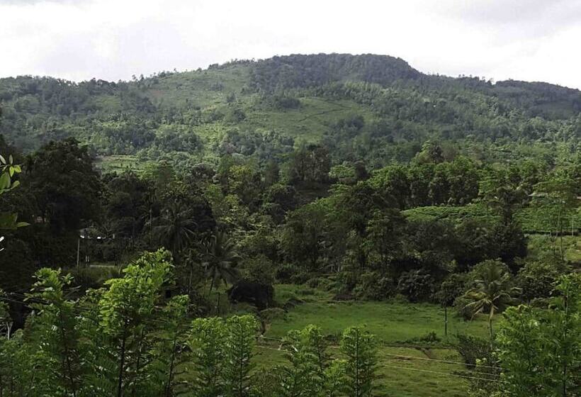 Hotel Sinharaja Birders Lodge