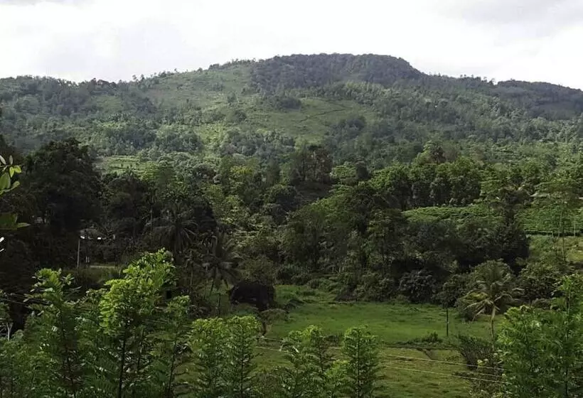 Hotelli Sinharaja Birders Lodge