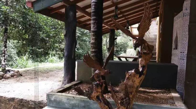 Hotelli Sinharaja Birders Lodge