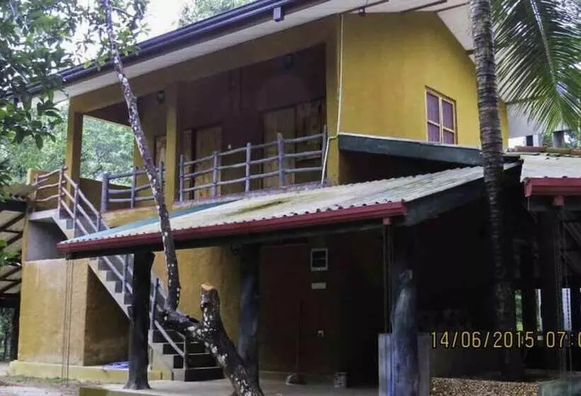 Hotelli Sinharaja Birders Lodge