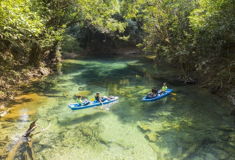 Hotel Springriver Resort