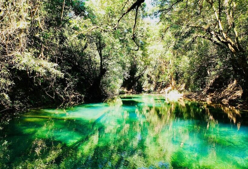 Hotel Springriver Resort