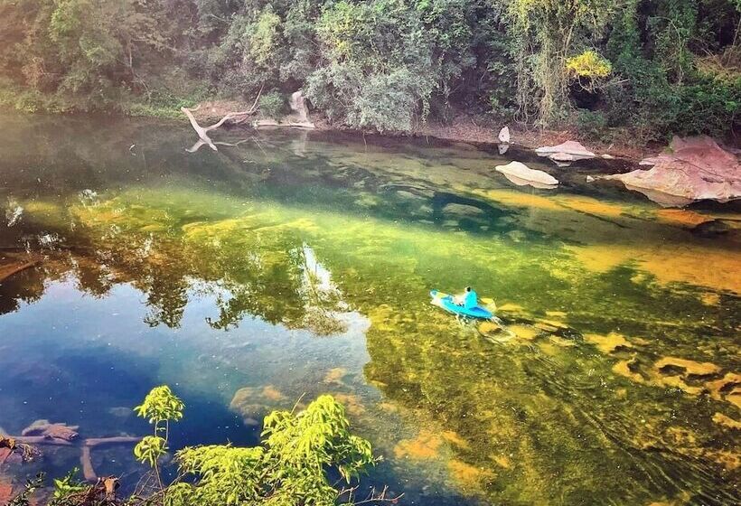 Hotel Springriver Resort