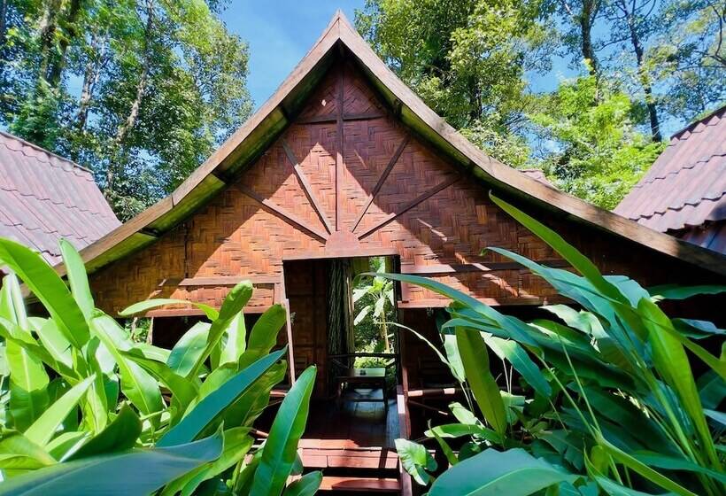 Hotel Springriver Resort