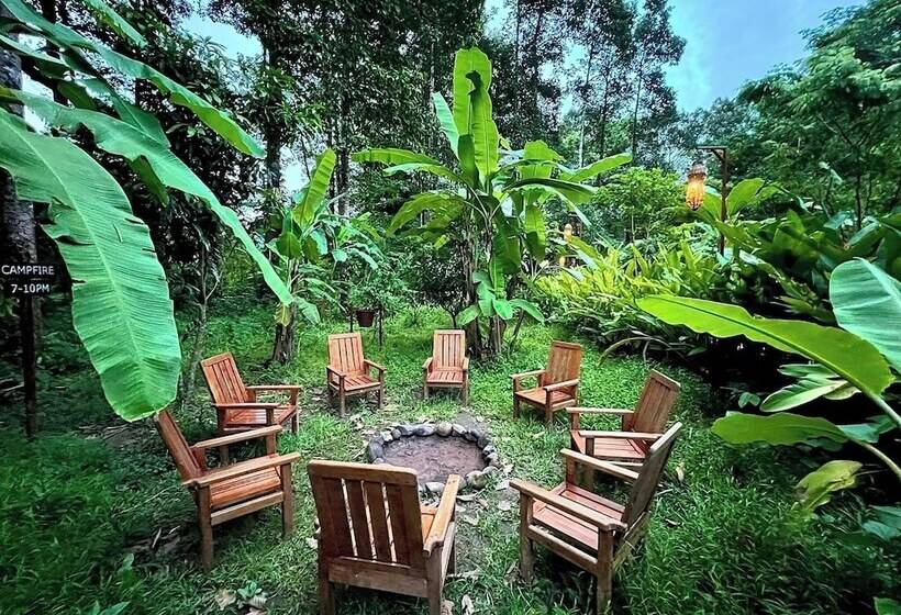 Hotel Springriver Resort