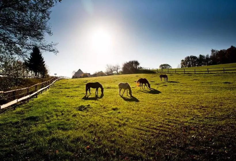 Landhotel Eulkretscham
