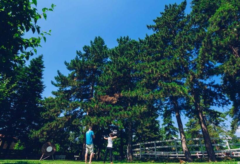 بنسيون Guest House Ongal