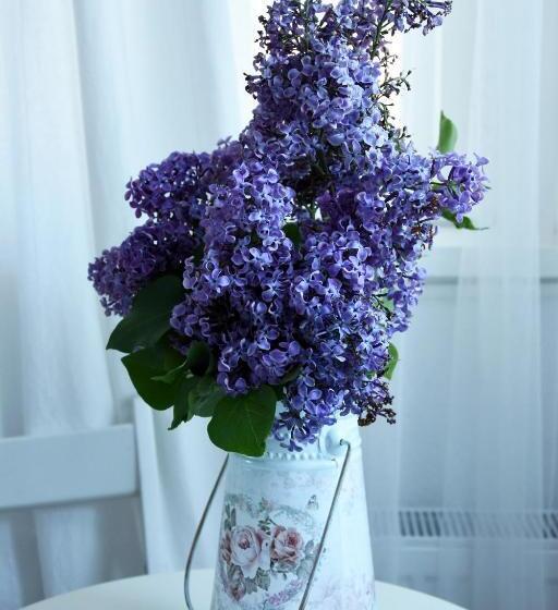 Пансион Guest House Ongal