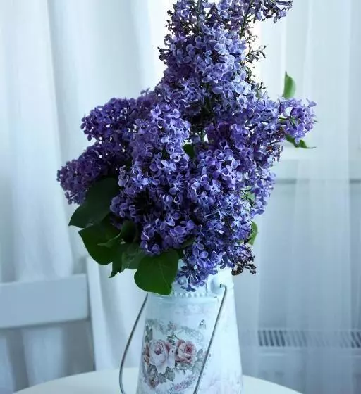 پانسیون Guest House Ongal