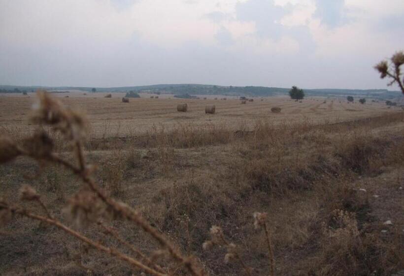 Пансион Guest House Ongal