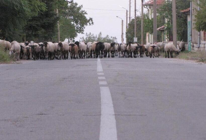 Пансион Guest House Ongal